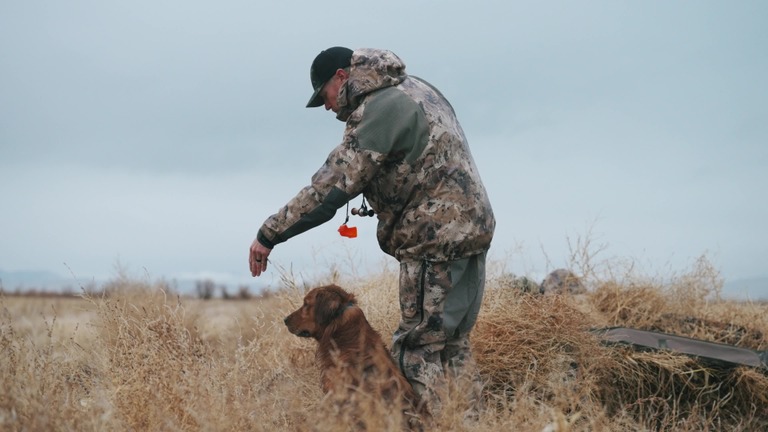 Tyce Erickson working a golden retriever in tall cover
