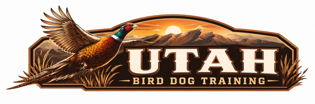 Utah Bird Dog Training